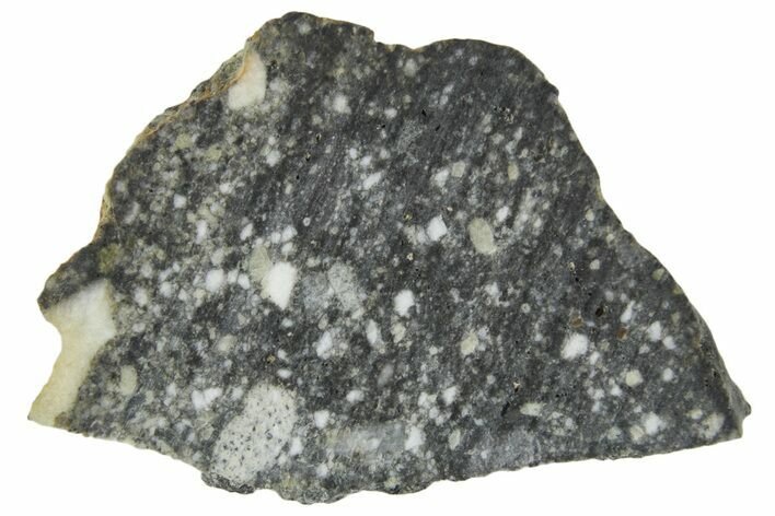Polished Lunar Meteorite ( g) Slice - Aridal #360145